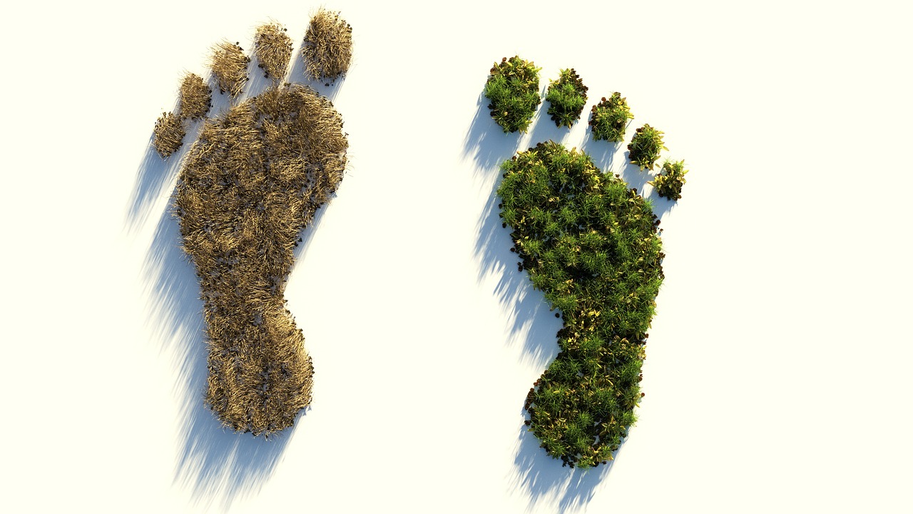 Hoe gaan Mosae Group Travel en u onze ecologische voetafdruk zo klein mogelijk maken? Hoe gaan Mosae Group Travel en u onze ecologische voetafdruk zo klein mogelijk maken?
